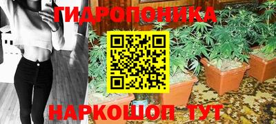 ECSTASY Краснодар