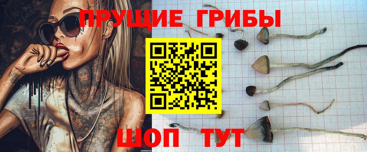 Псилоцибиновые грибы GOLDEN TEACHER Сосновоборск