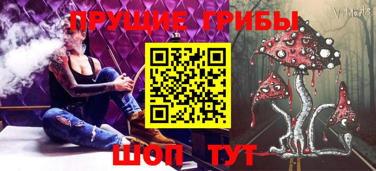 Галлюциногенные грибы Psilocybine cubensis  Вход с VPN  Сосновоборск 